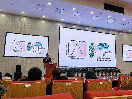 图形用户界面 中度可信度描述已自动生成